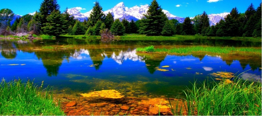 I had a terrible education. I attended a school for emotionally disturbed teachers.
 <br/>  (Woody Allen)